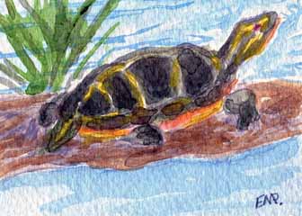 "Painted Turtle" by Effie M. Pollock-Guethlein, Lodi WI - Acrylic